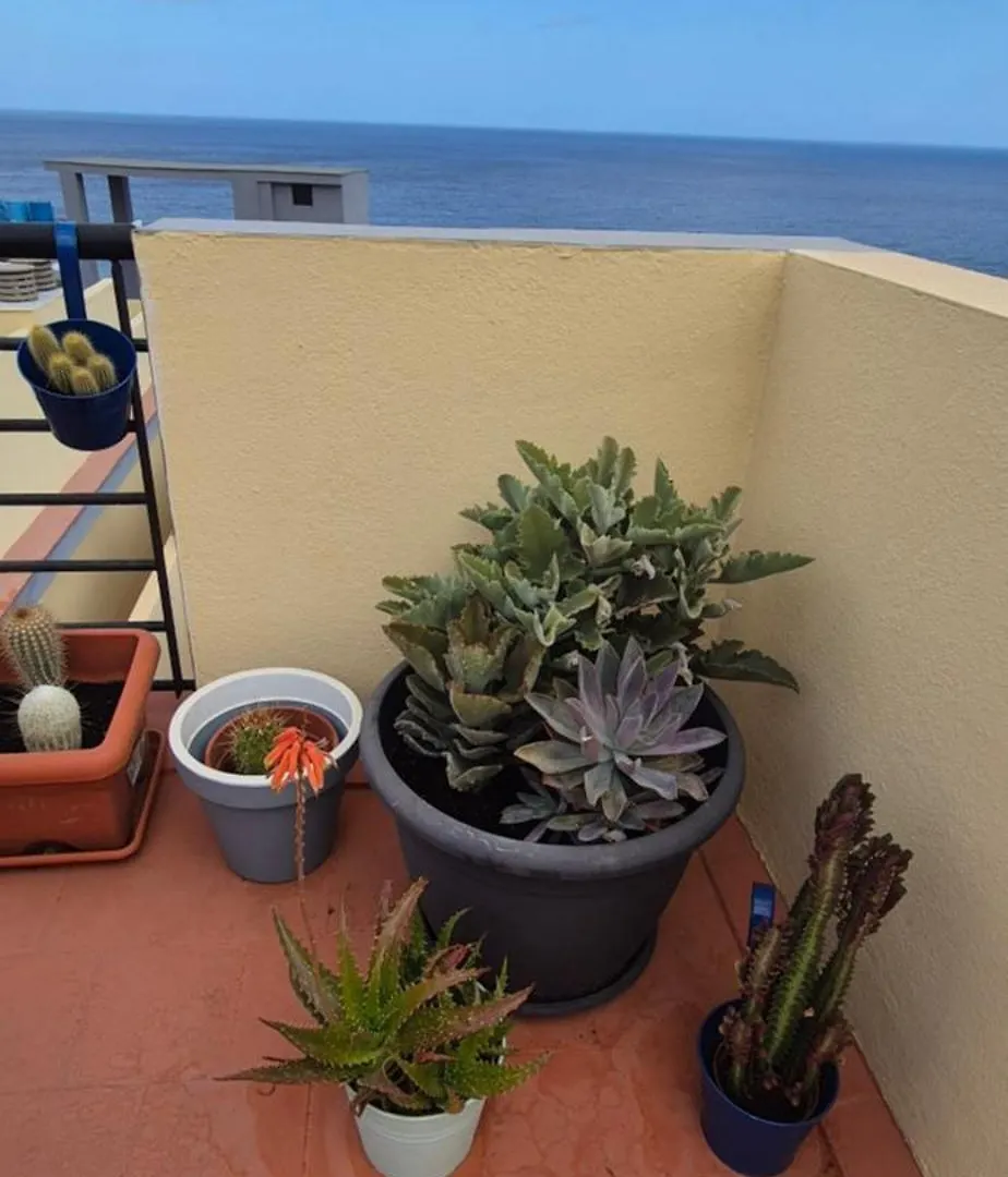 Meerblick Caletillas Candelaria Appartement